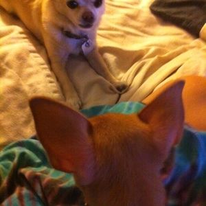 Meet your Posher, Angela